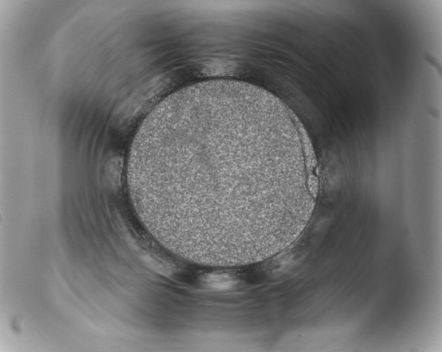X0000103960171200810171910