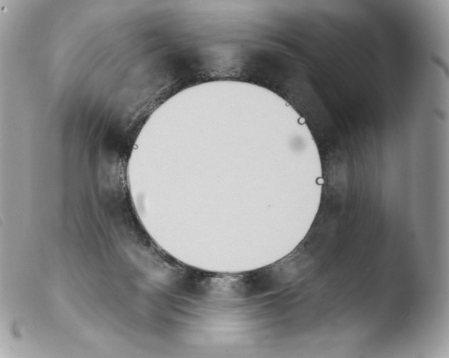 X0000103960172200810171910