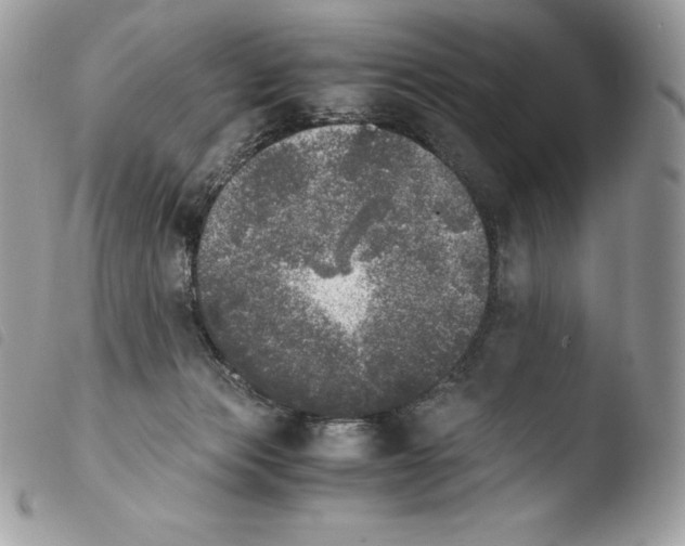 X0000103960173200810171910