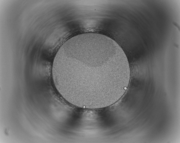 X0000103960174200810171910