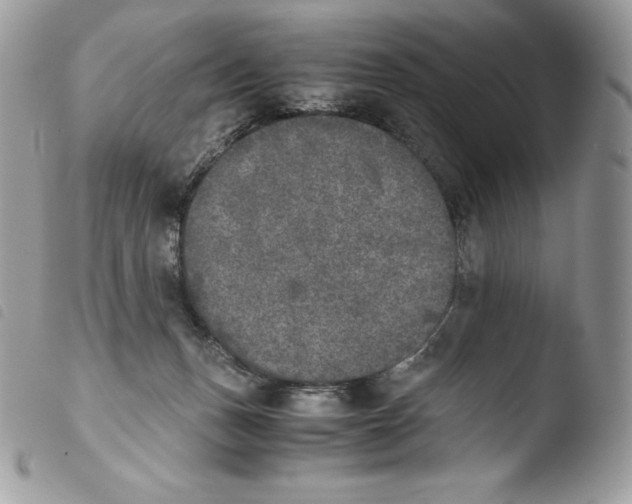 X0000103960175200810171910
