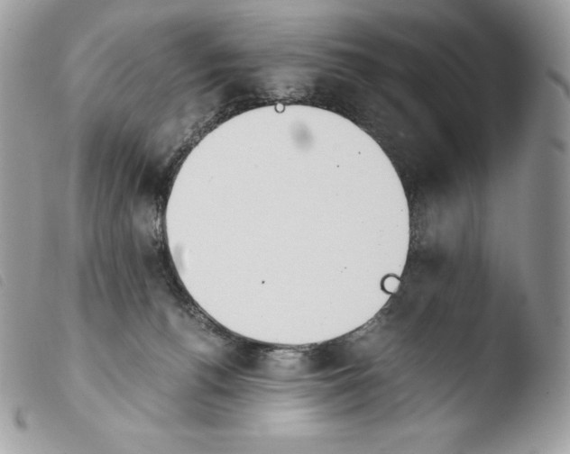X0000103960176200810171910