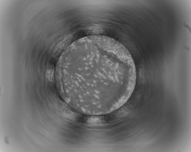 X0000103960177200810171910