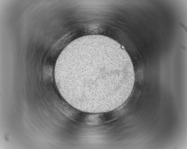 X0000103960178200810171910