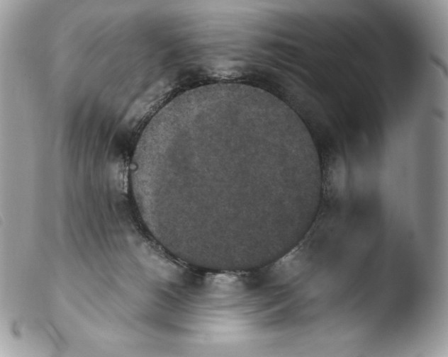 X0000103960180200810171910