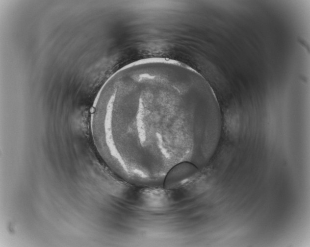 X0000103960181200810171910