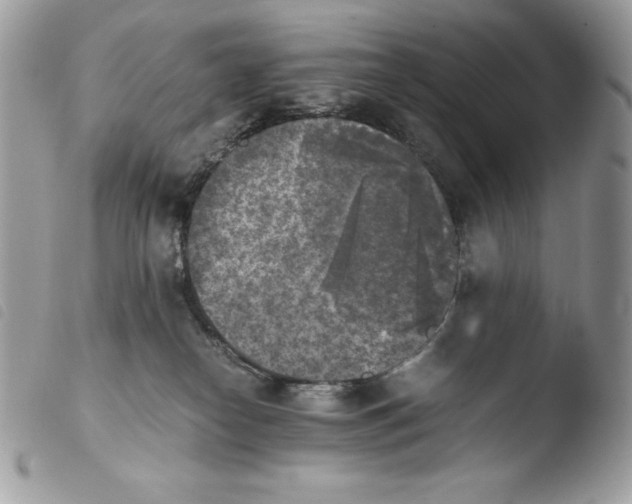 X0000103960182200810171910