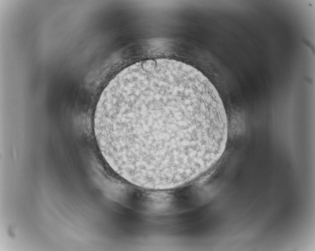 X0000103960183200810171910