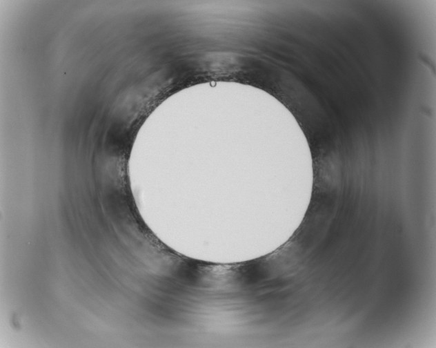 X0000103960184200810171910