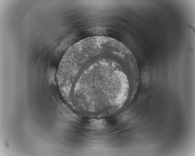 X0000103960185200810171910