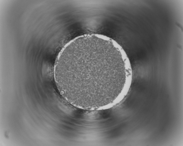 X0000103960186200810171910