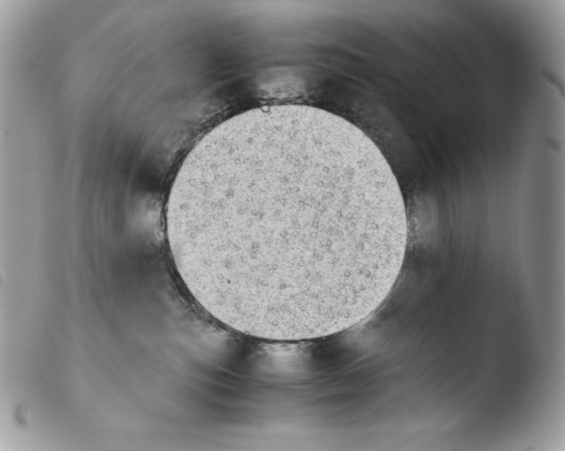 X0000103960187200810171910