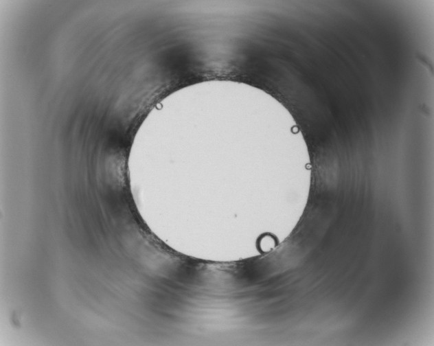 X0000103960188200810171910