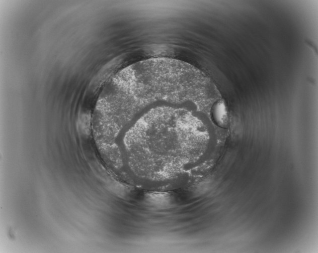 X0000103960189200810171910