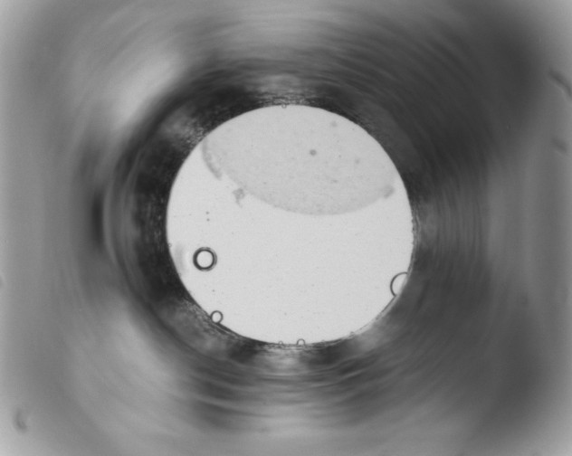 X0000103960190200810171910