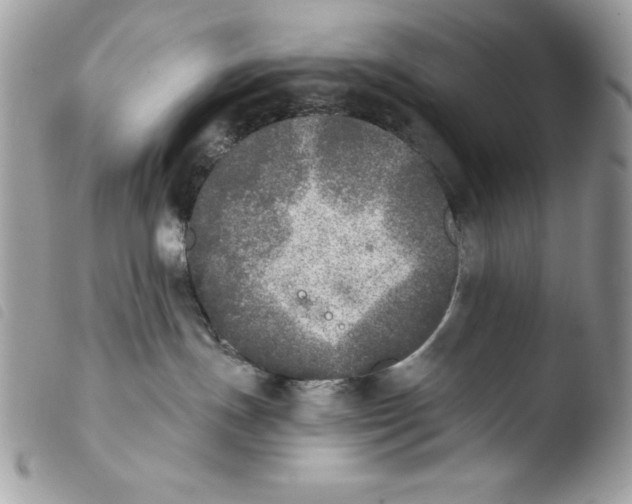 X0000103960191200810171910
