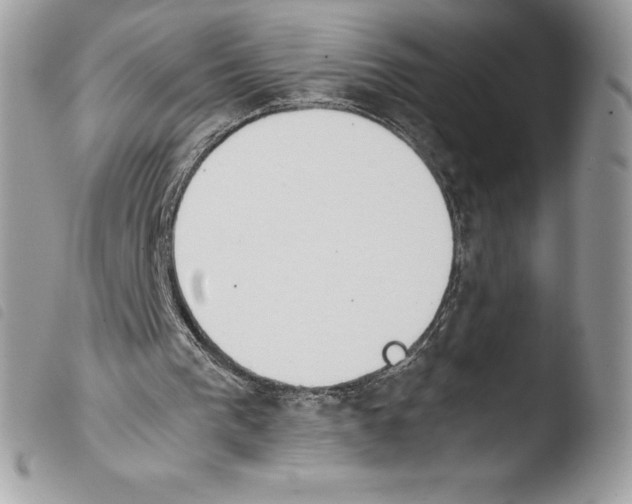X0000103960193200810171909