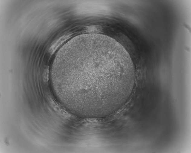 X0000103960194200810171909