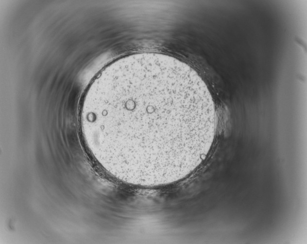 X0000103960195200810171909
