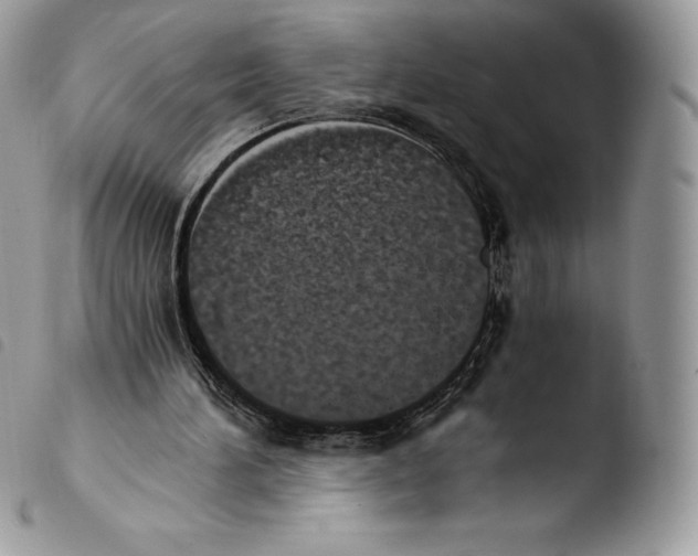 X0000103960196200810171909