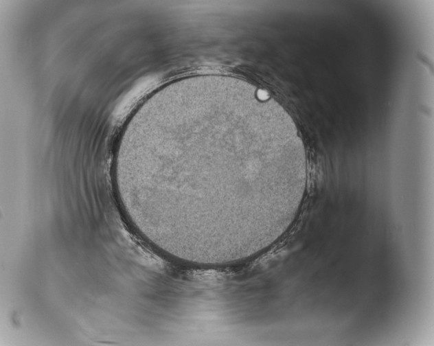 X0000103960197200810171909