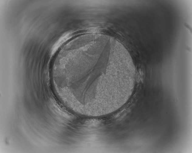 X0000103960198200810171909
