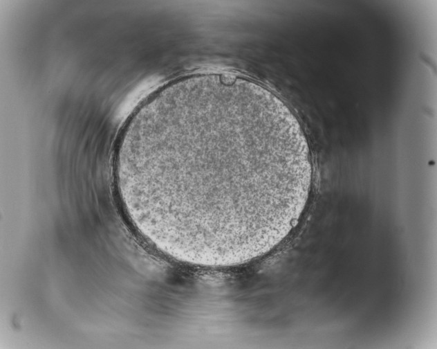 X0000103960199200810171909