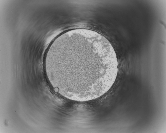 X0000103960200200810171909