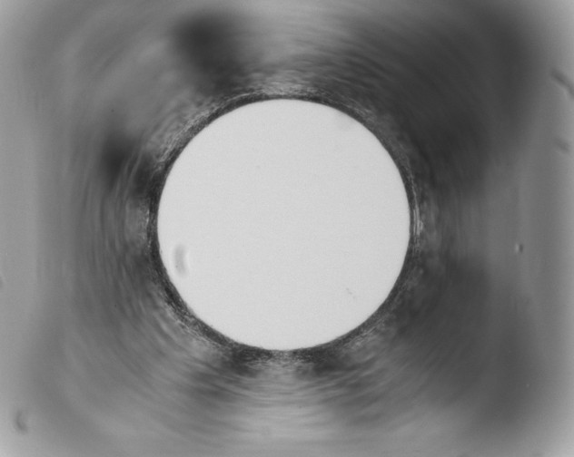 X0000103960201200810171909