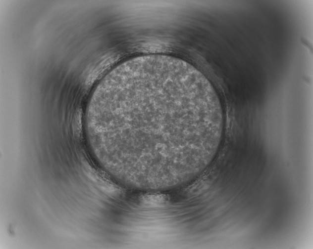 X0000103960202200810171909