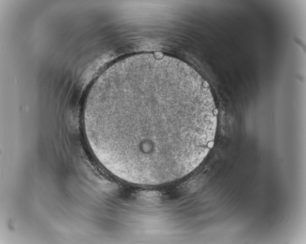 X0000103960203200810171909