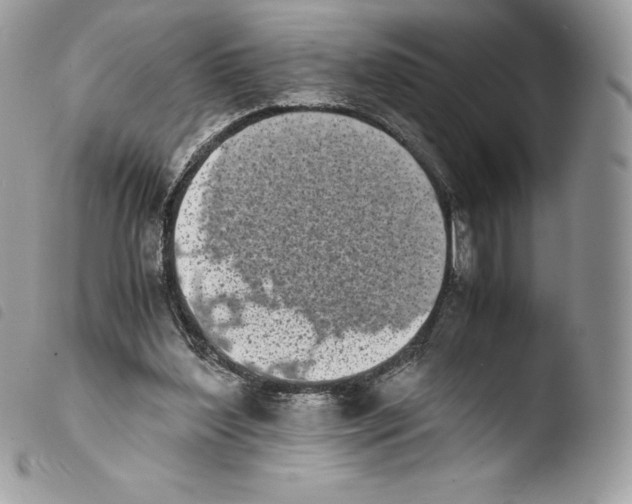 X0000103960204200810171909