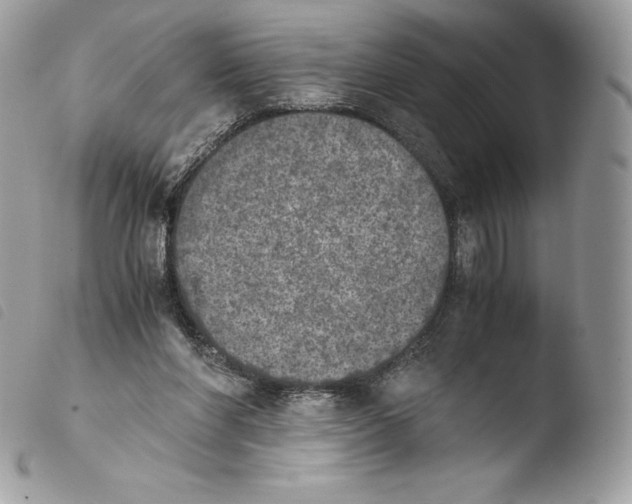 X0000103960206200810171909