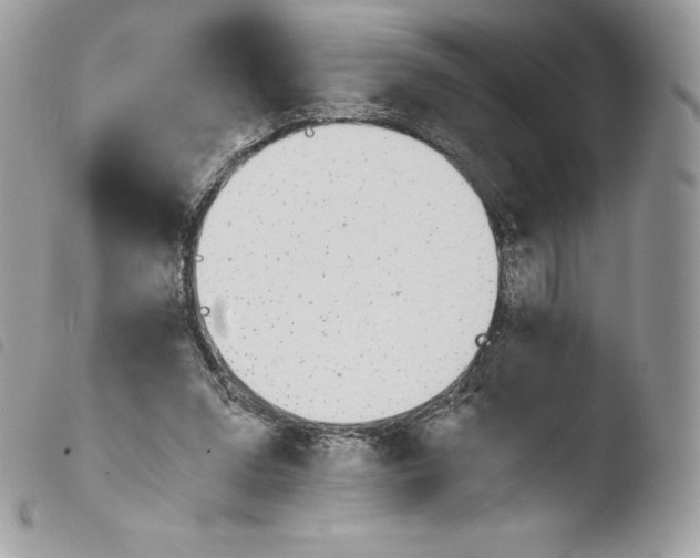 X0000103960207200810171909