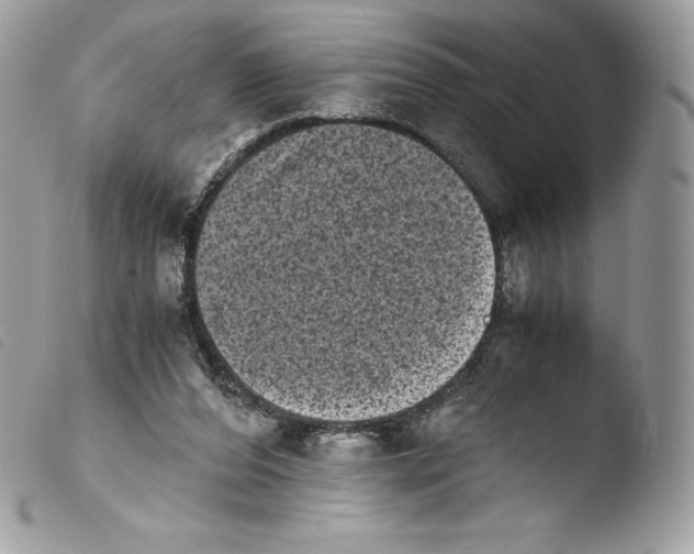 X0000103960208200810171909