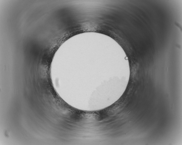 X0000103960209200810171909