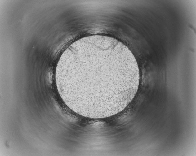 X0000103960210200810171909