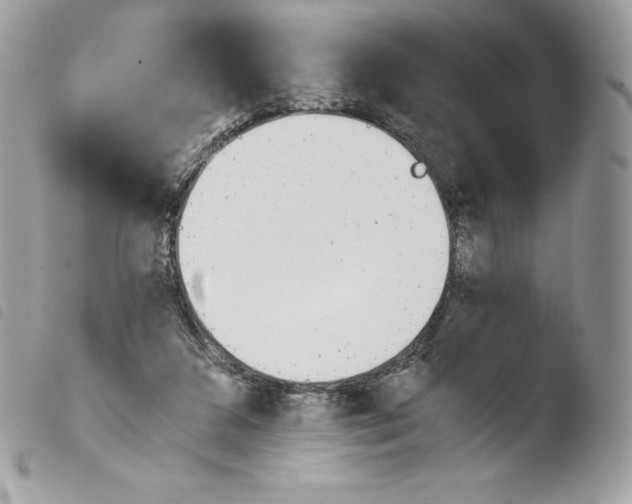 X0000103960211200810171909
