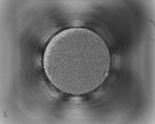X0000103960212200810171909