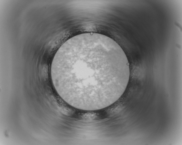 X0000103960213200810171909