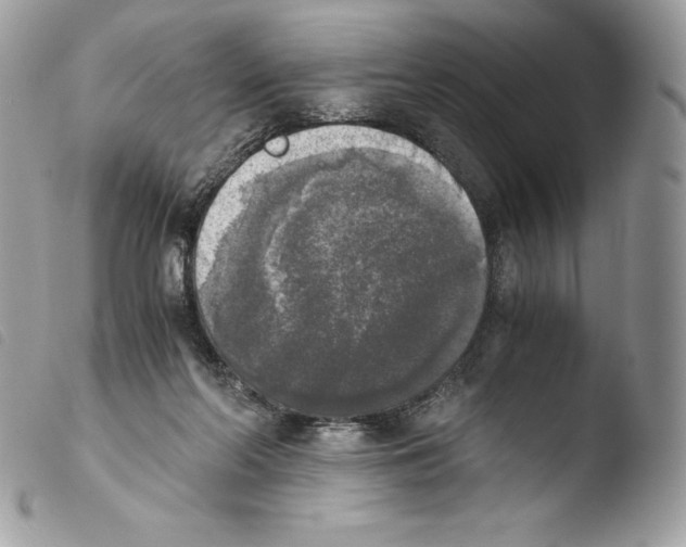 X0000103960214200810171909