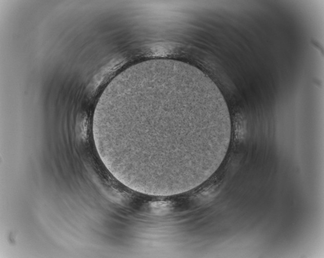 X0000103960216200810171909