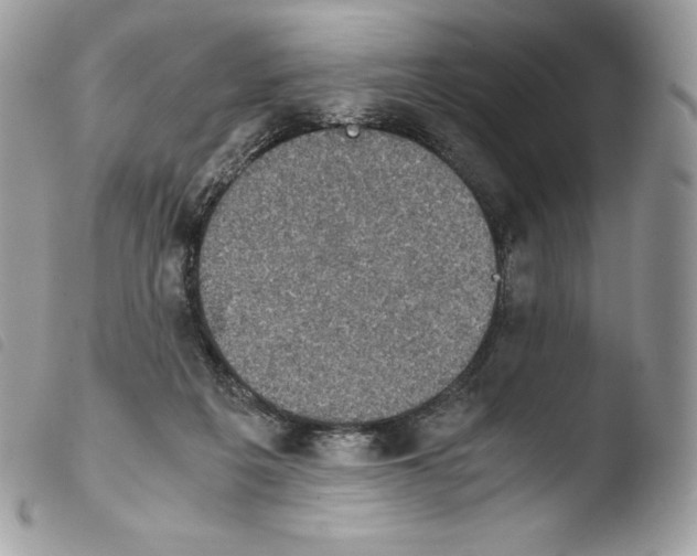 X0000103960217200810171909
