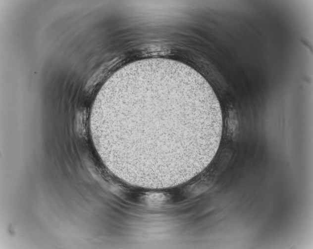 X0000103960218200810171909