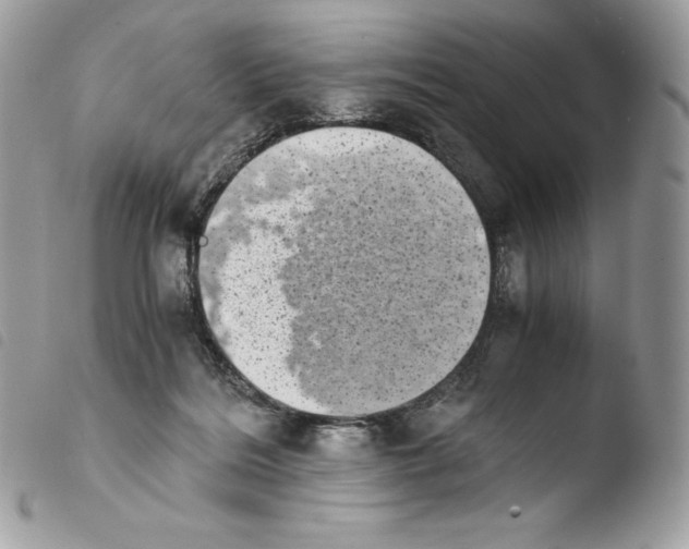 X0000103960220200810171909