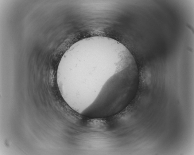X0000103960223200810171909