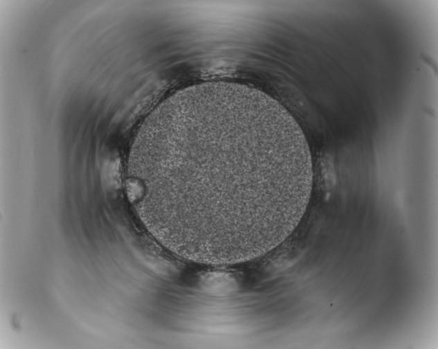X0000103960224200810171909