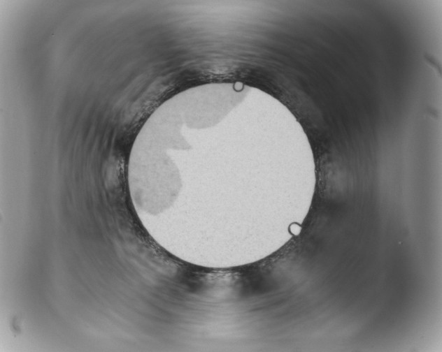 X0000103960225200810171909