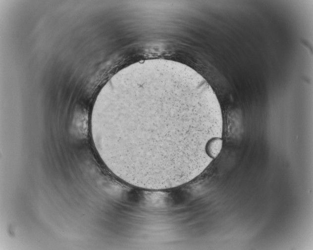 X0000103960226200810171909
