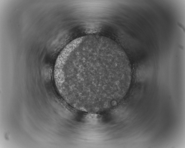 X0000103960227200810171909